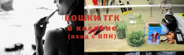 хмурый Абаза
