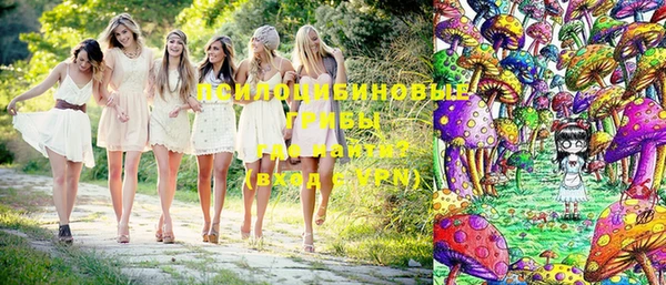 хмурый Абаза