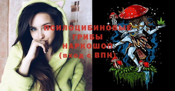 спиды Алексин