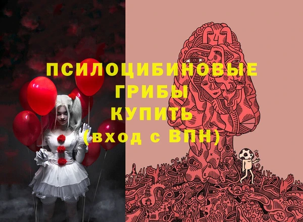 кокс Осташков