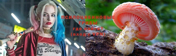 гидра Абдулино
