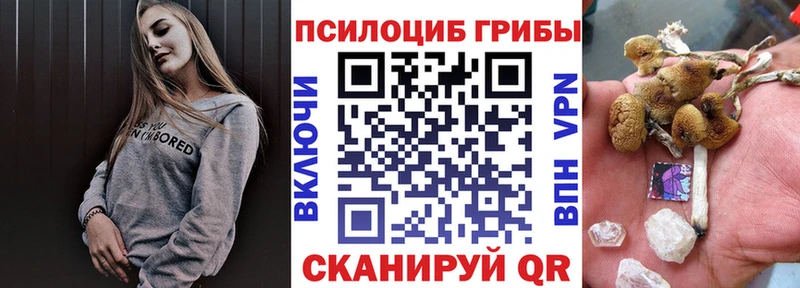 Галлюциногенные грибы Cubensis Мыски